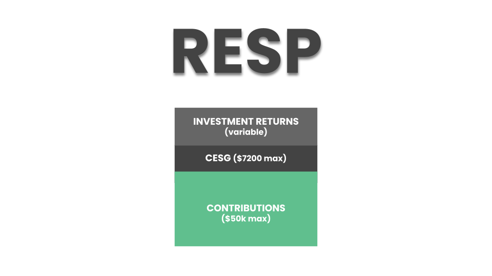 You are currently viewing The RESP survival guide: everything you need to know