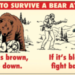 How to think about bear markets